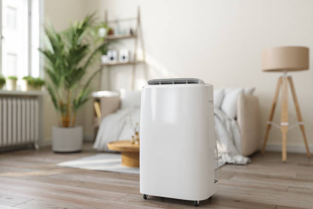 Best Air Quality Test  in Camden, AL